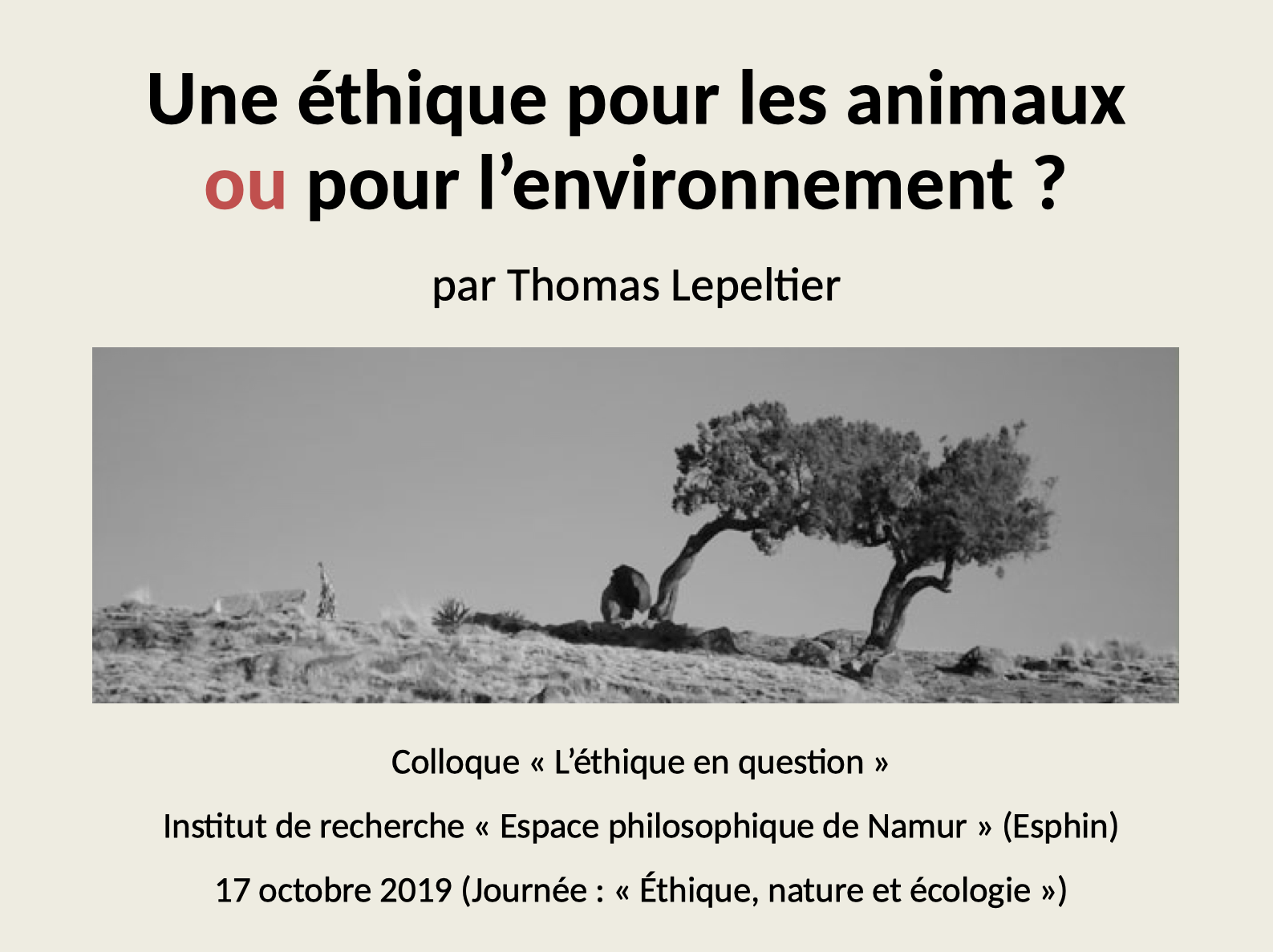 2019-Namur