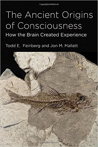 feinberg-mallat-consciousness