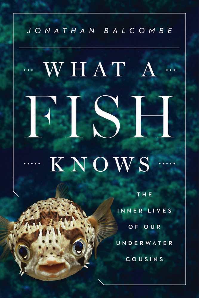 balcombe-what-fish-knows
