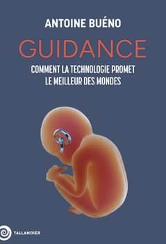 bueno-guidance-ia
