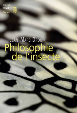 drouin-insecte