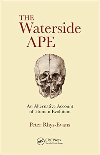 rhys-evans-the-waterside-ape