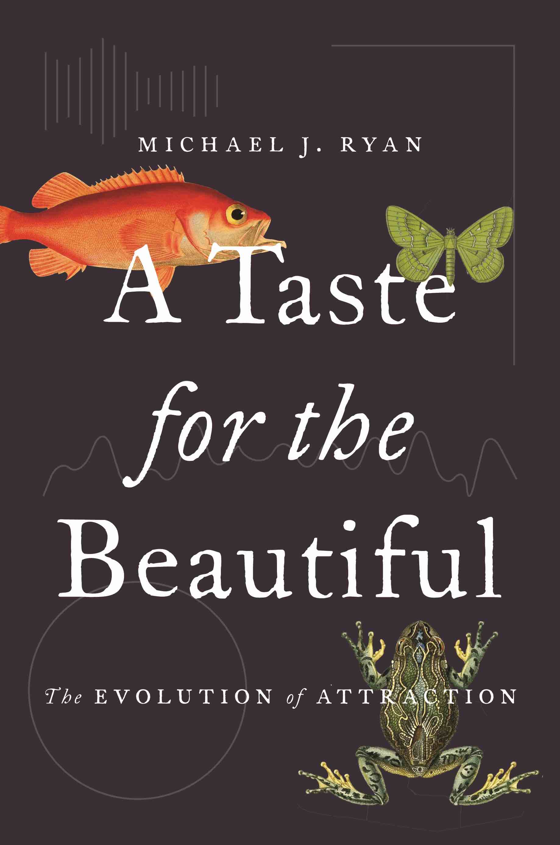 ryan-a-taste-for-the-beautiful-the-evolution-of-attraction