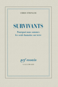 stringer-survivants